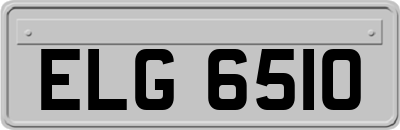 ELG6510