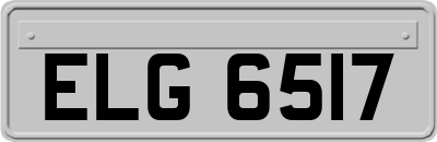 ELG6517