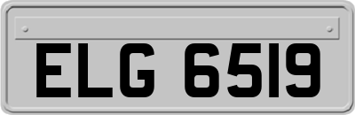 ELG6519