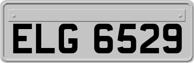 ELG6529