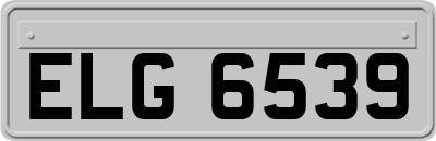 ELG6539