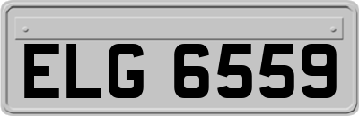 ELG6559