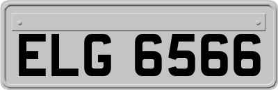 ELG6566