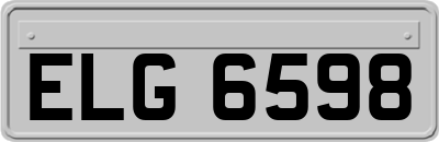 ELG6598