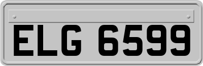 ELG6599
