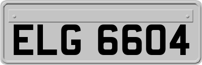ELG6604