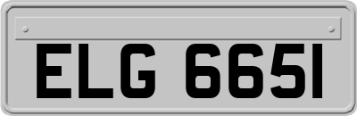 ELG6651