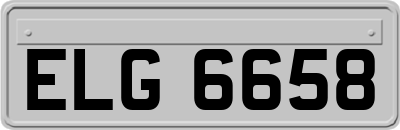 ELG6658
