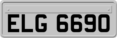 ELG6690