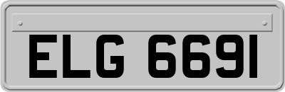 ELG6691