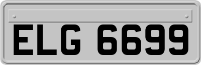 ELG6699
