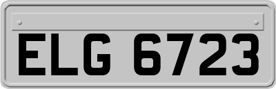 ELG6723