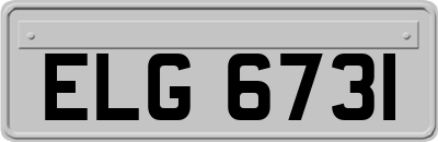 ELG6731
