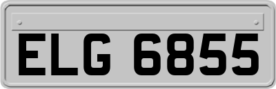 ELG6855