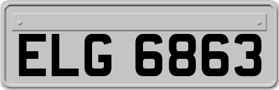 ELG6863