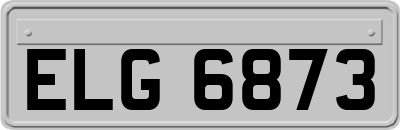 ELG6873