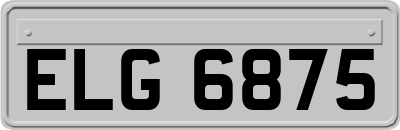 ELG6875