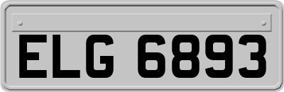 ELG6893