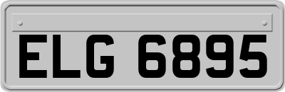 ELG6895