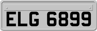 ELG6899