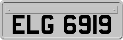 ELG6919