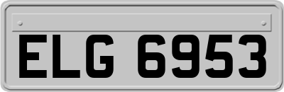 ELG6953