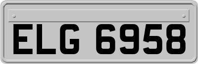 ELG6958