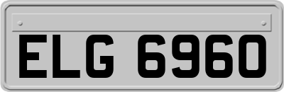 ELG6960