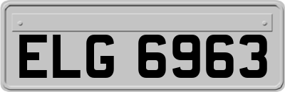 ELG6963