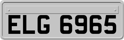 ELG6965