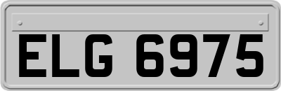 ELG6975