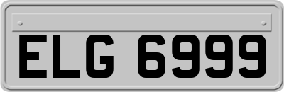 ELG6999