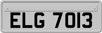 ELG7013