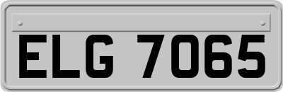 ELG7065