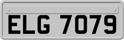 ELG7079