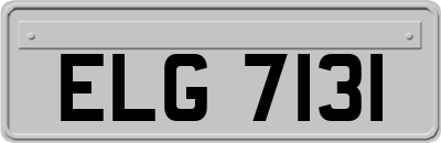 ELG7131