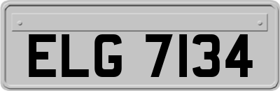 ELG7134