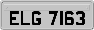 ELG7163