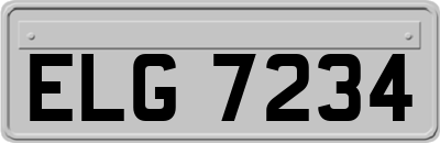ELG7234