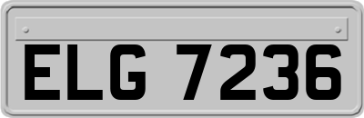 ELG7236