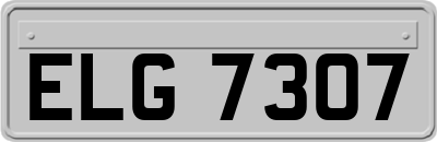 ELG7307