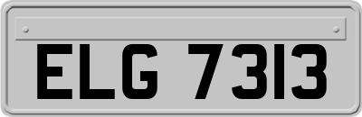 ELG7313