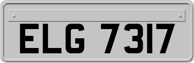 ELG7317