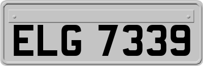 ELG7339
