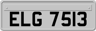 ELG7513