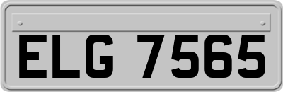 ELG7565