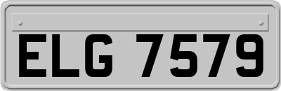 ELG7579