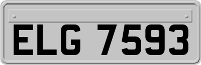 ELG7593