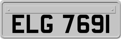 ELG7691