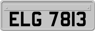 ELG7813